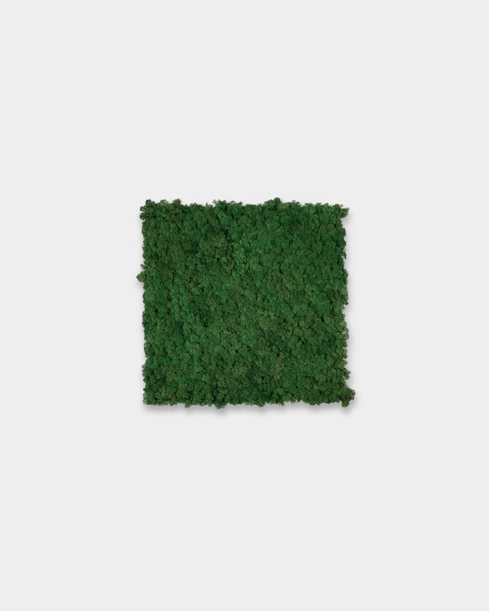 WoodUpp Akupixel acoustic panel in Moss Green (60x60 cm), featuring a textured square surface against a plain white background.
